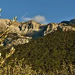 λευκόραμα 4*