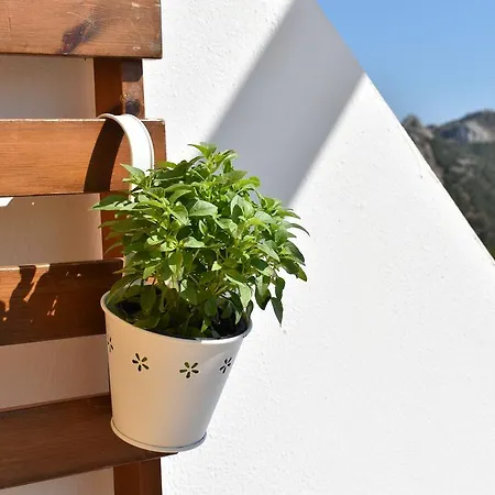 Lefkorama Affittacamere 4*