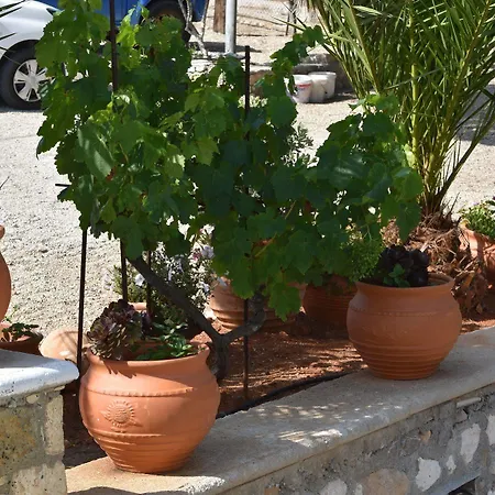 Lefkorama 3* Lefkos (Karpathos)
