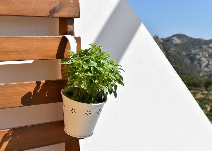 Lefkorama Gasthof 4*